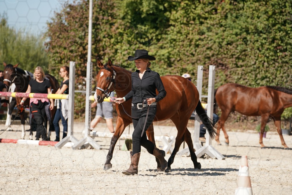 s_A_907541.JPG